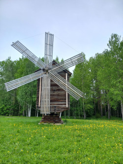 Маяк счастья